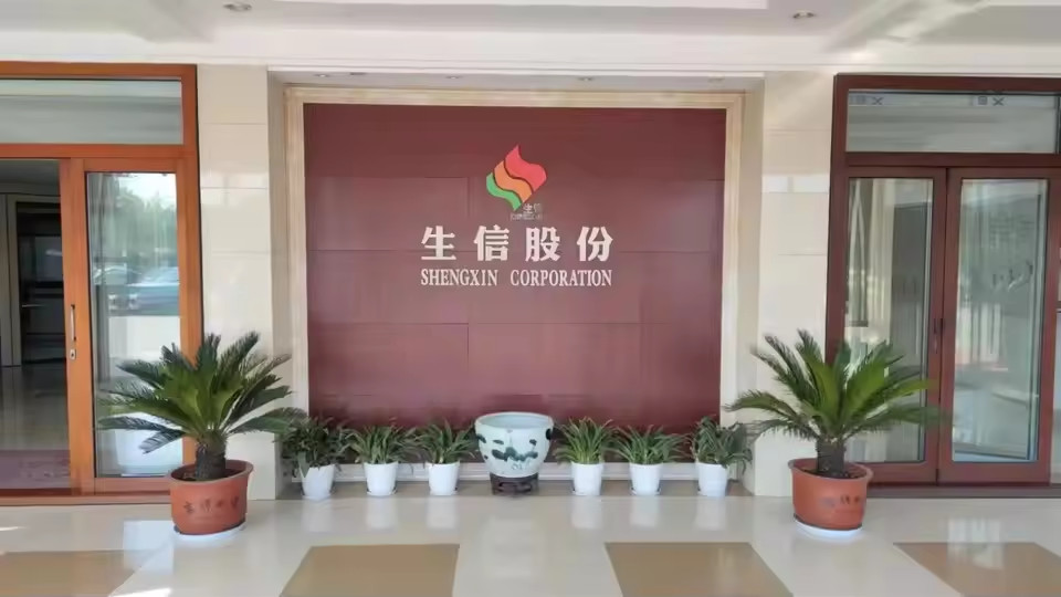 Porcellana ANHUI SHENGXIN  CORPORATION LIMITED Profilo Aziendale