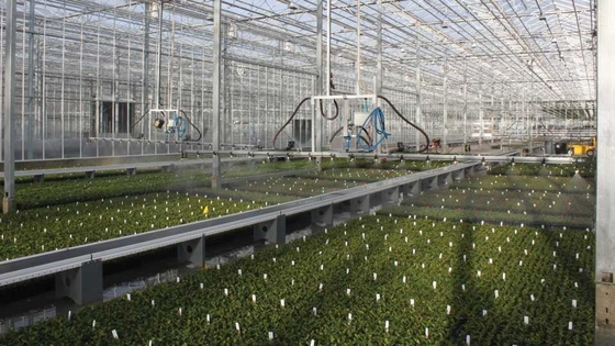 Servizio di lavorazione del profilo di alluminio in serra con dieci e perforazione ad alta precisione